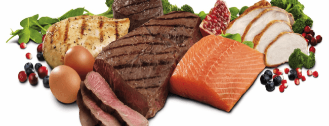 The Importance Of Protein In Your Diet
