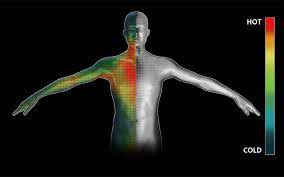 Factors affecting your thermoregulation abilities